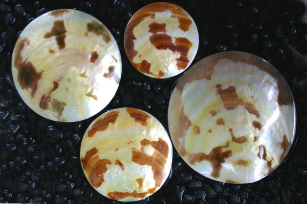 Tiger Mother of Pearl Shell Jewellery Pieces - Round